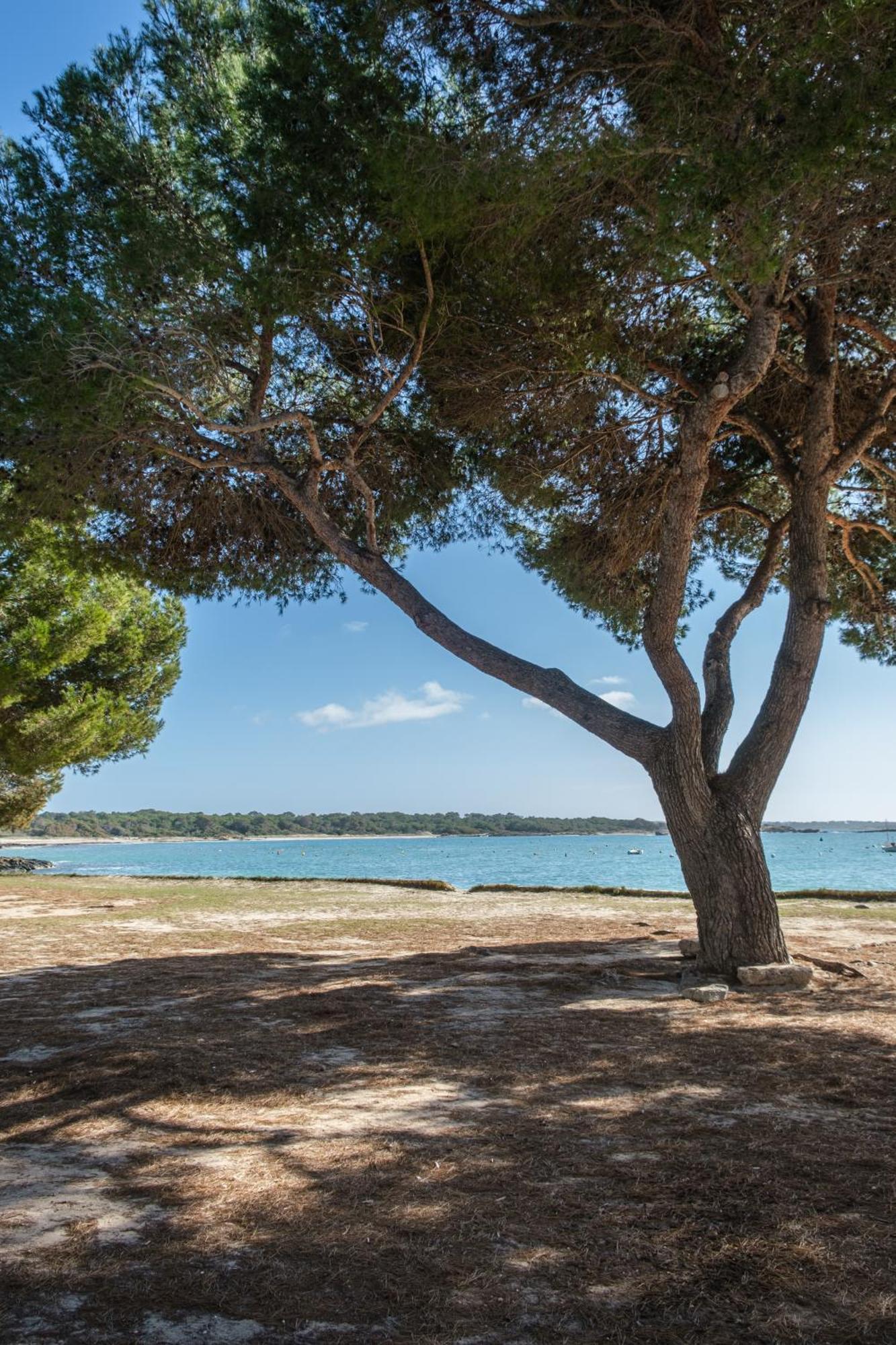 Alma Libre Beach Apartment Colonia de Sant Jordi Екстериор снимка